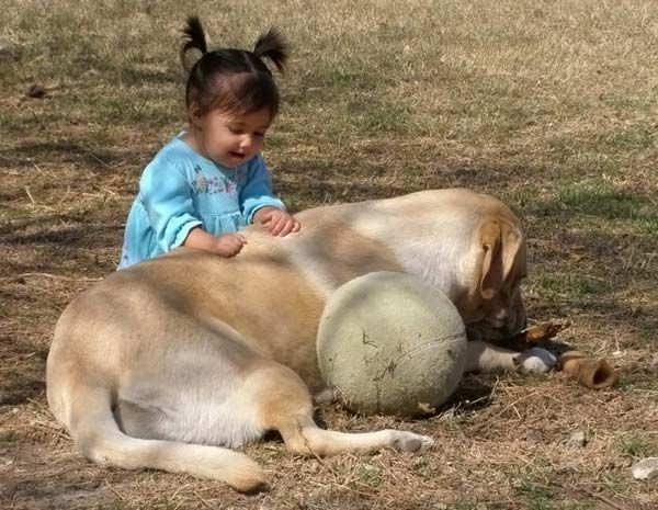 children with animals