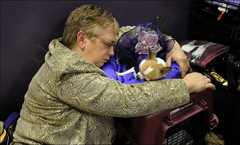 Westminster Kennel Club Dog Show