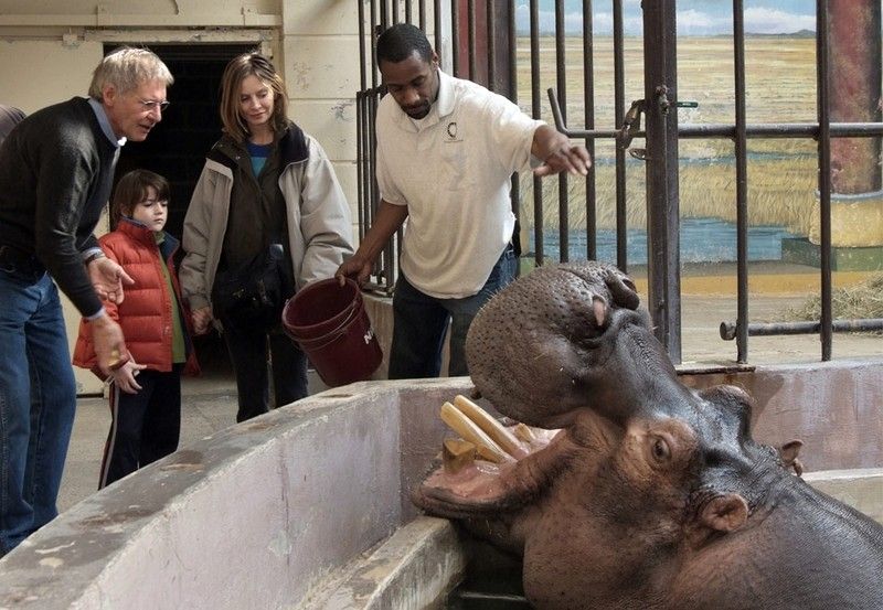 Beautiful photos of the animals in the ZOO