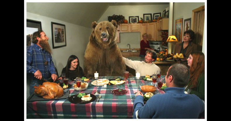 Biologist Casey Anderson, and his bear Butusov