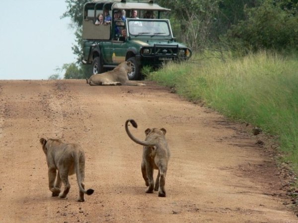 Kruger National Park, South Africa