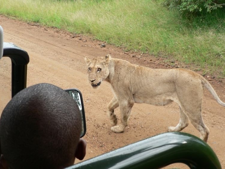 Kruger National Park, South Africa