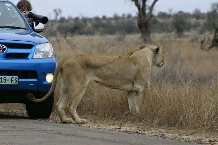 Kruger National Park, South Africa