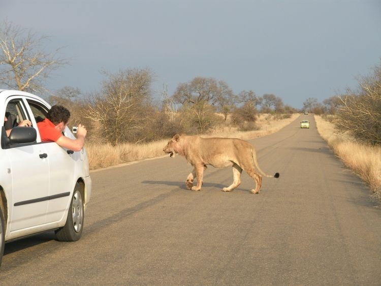 Kruger National Park, South Africa