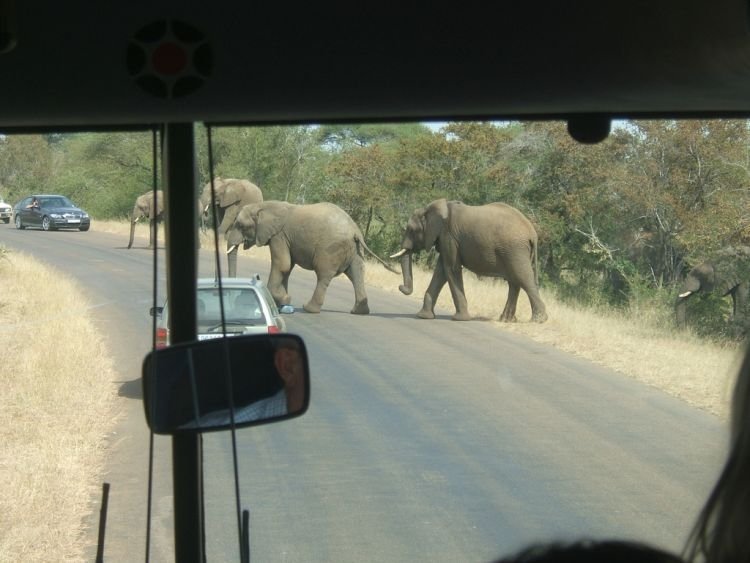 Kruger National Park, South Africa