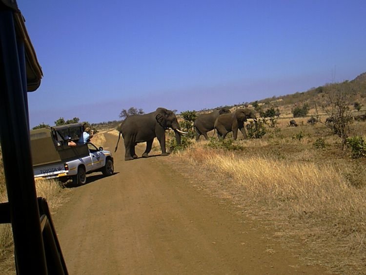 Kruger National Park, South Africa