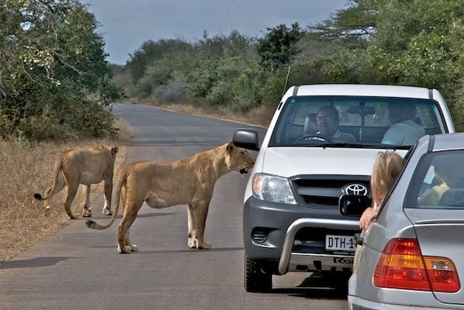 Kruger National Park, South Africa