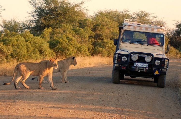 Kruger National Park, South Africa