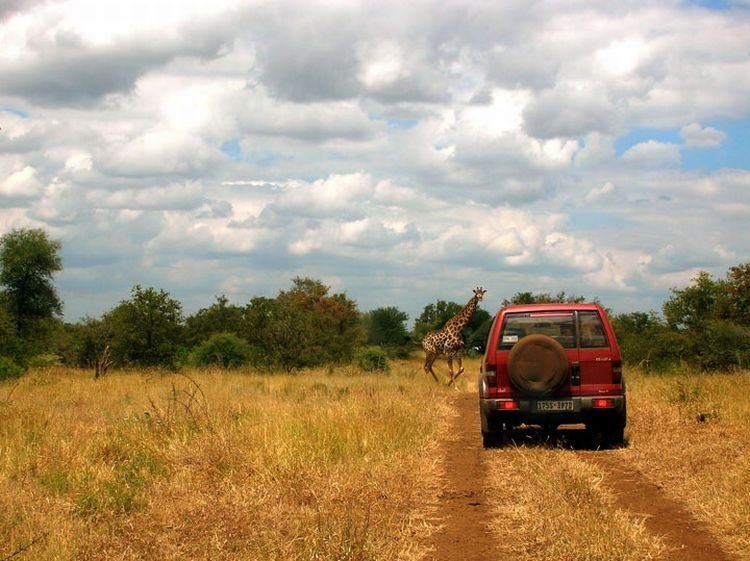 Kruger National Park, South Africa