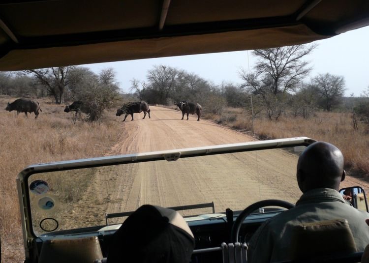 Kruger National Park, South Africa