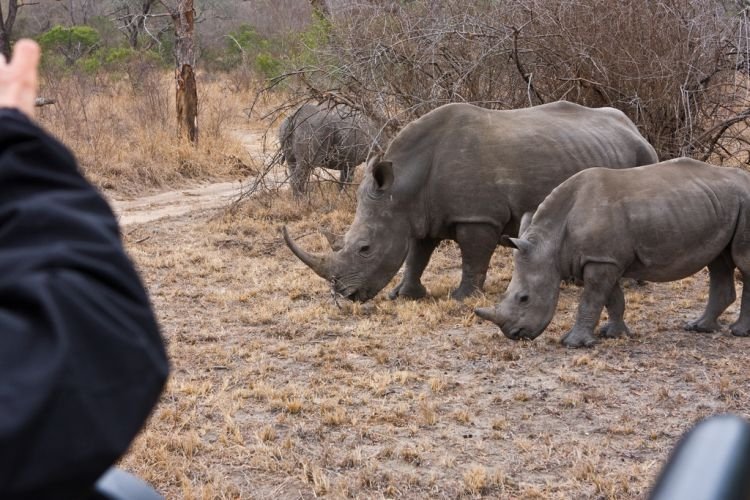 Kruger National Park, South Africa