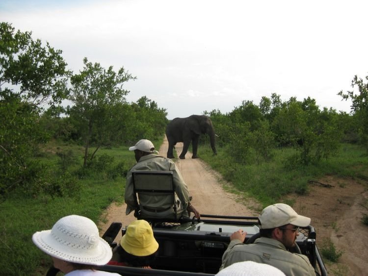 Kruger National Park, South Africa