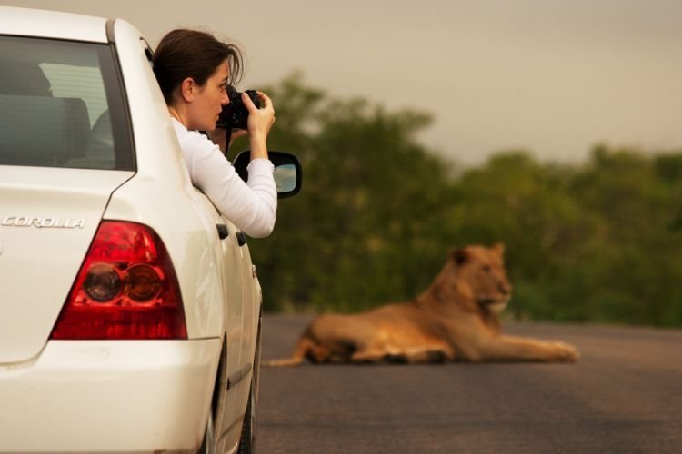 Kruger National Park, South Africa