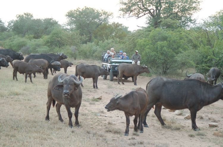 Kruger National Park, South Africa