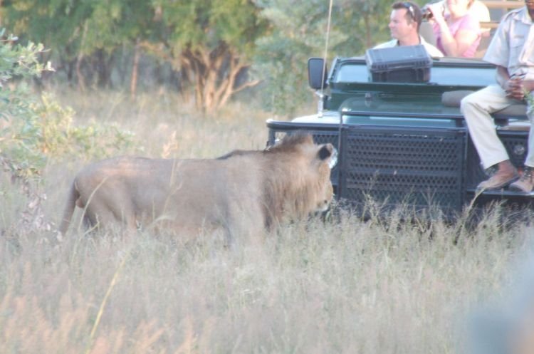 Kruger National Park, South Africa