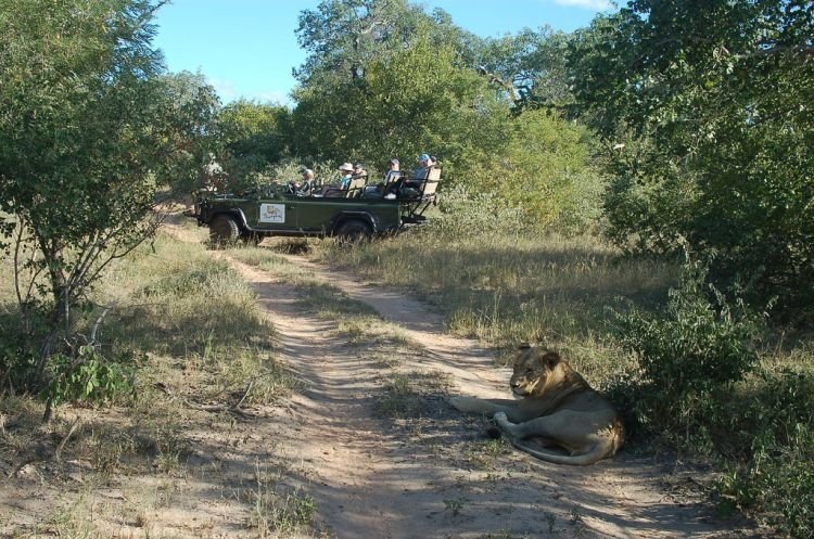 Kruger National Park, South Africa