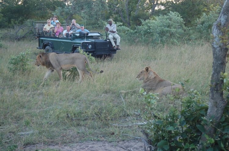 Kruger National Park, South Africa