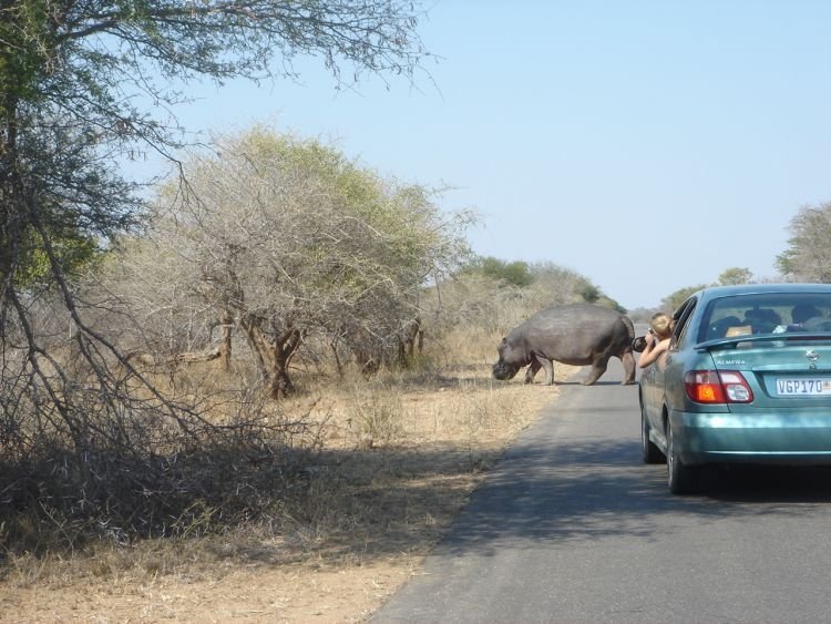 Kruger National Park, South Africa