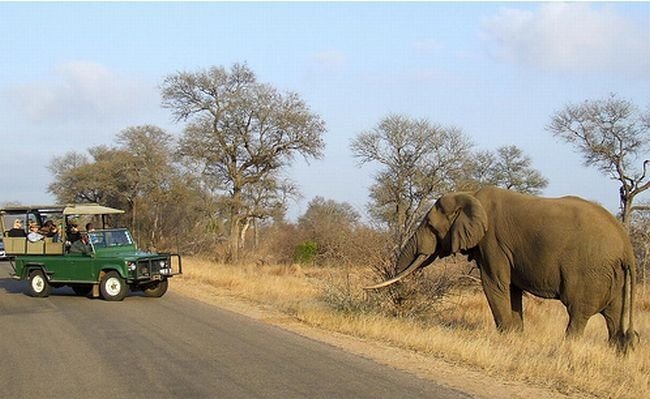 Kruger National Park, South Africa