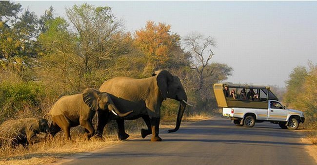 Kruger National Park, South Africa