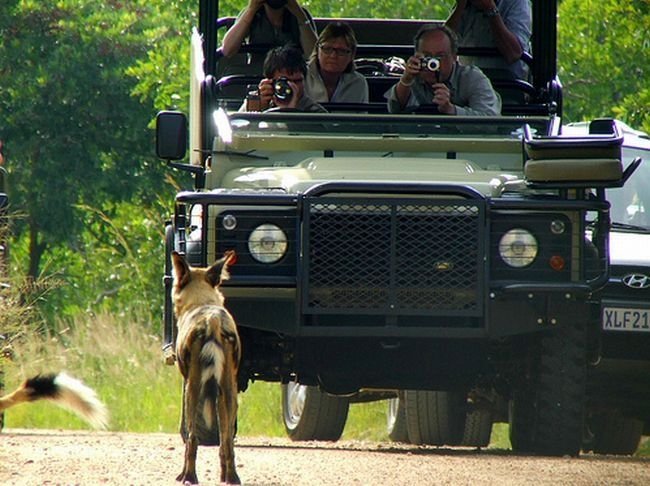 Kruger National Park, South Africa