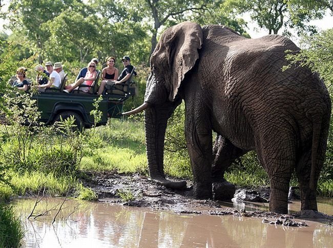 Kruger National Park, South Africa