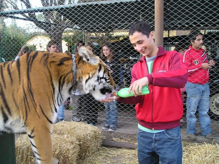 In ZOO with predators, Argentina