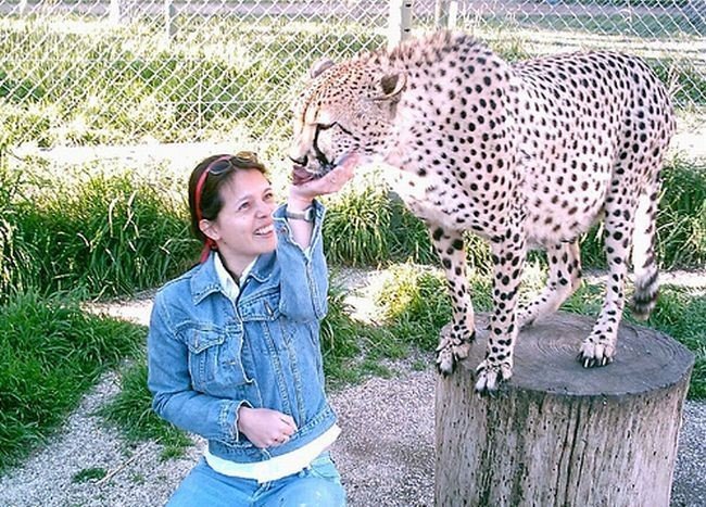 In ZOO with predators, Argentina