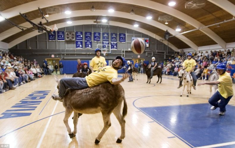 Donkey basketball, United States