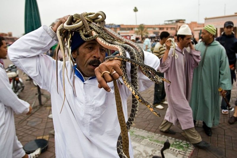 Snake magician, Morocco, Marrakech