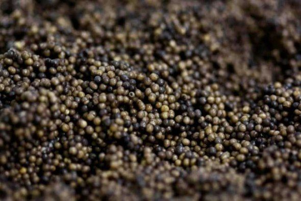 Black caviar