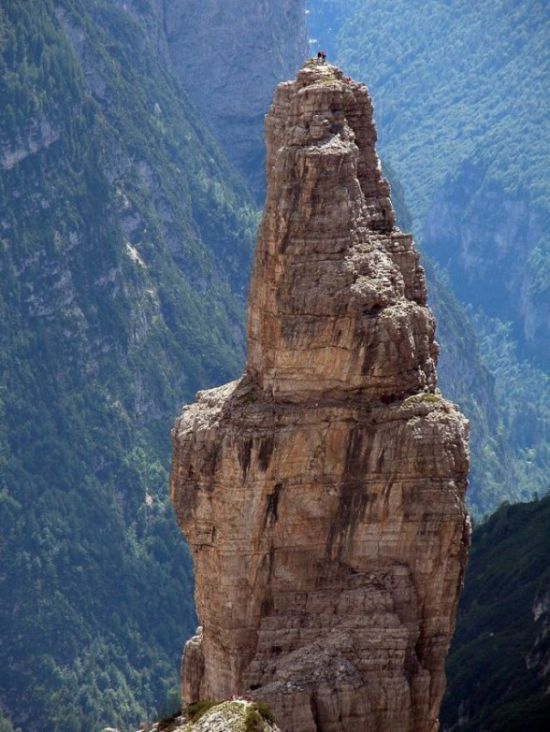 mountain goats, 5000m above sea level