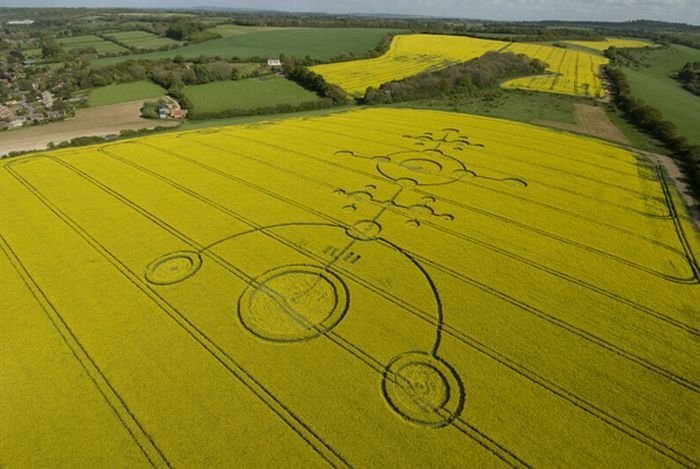 crop circle