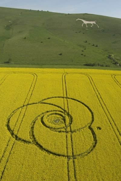 crop circle