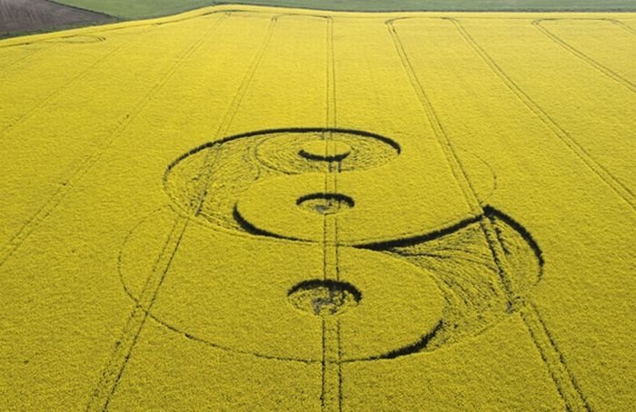 crop circle