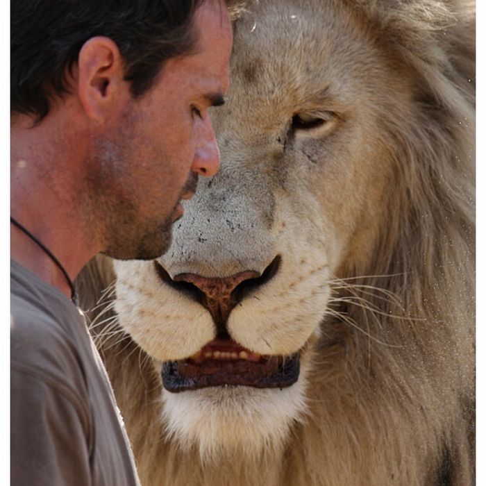 The Lion Whisperer - Kevin Richardson