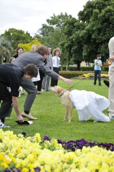 Man married his dog, South East Queensland, Australia