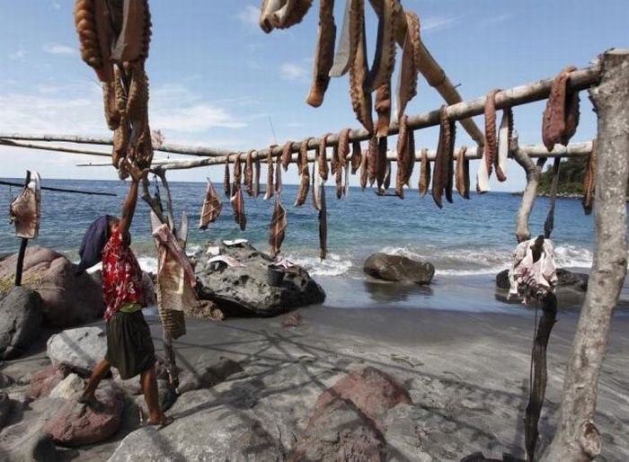 Whale hunting, Indonesia