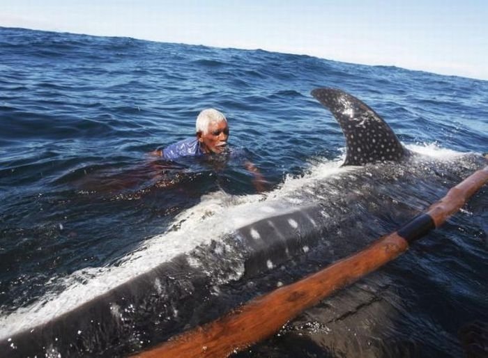 Whale hunting, Indonesia