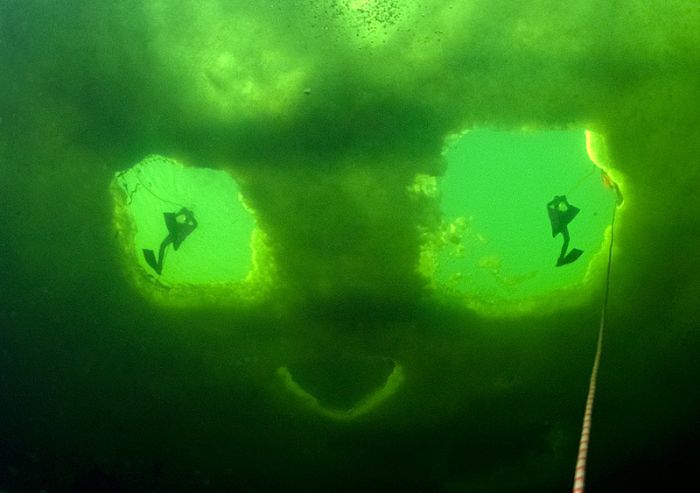 Underwater world with Natalia Avseenko, The White Sea, Russia