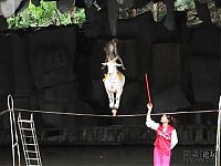Fauna & Flora: goat on a rope