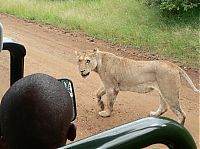 Fauna & Flora: Kruger National Park, South Africa