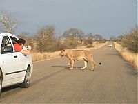 Fauna & Flora: Kruger National Park, South Africa