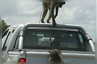 Fauna & Flora: Kruger National Park, South Africa