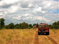 Fauna & Flora: Kruger National Park, South Africa