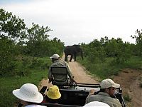 Fauna & Flora: Kruger National Park, South Africa