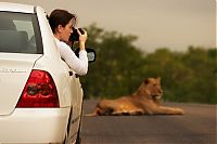 Fauna & Flora: Kruger National Park, South Africa