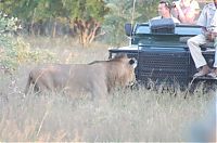 Fauna & Flora: Kruger National Park, South Africa