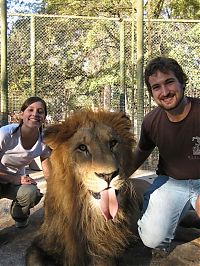TopRq.com search results: In ZOO with predators, Argentina