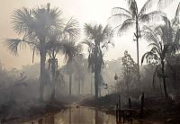 TopRq.com search results: seasonal drought in the tropics